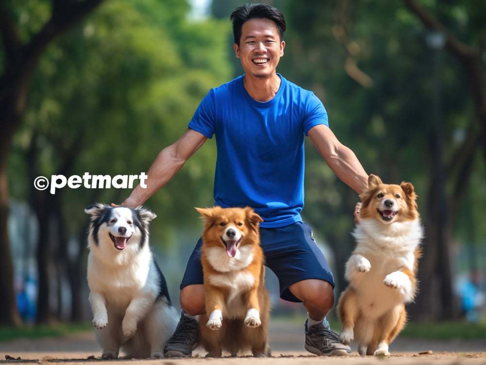 25 bài học huấn luyện chó tại nhà ai cũng làm được | Pet ...